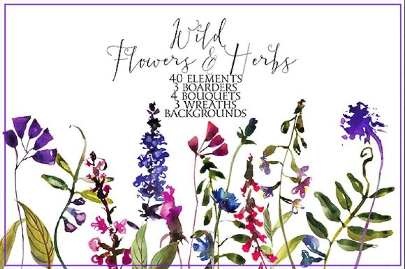 wild-flowers-and-herbs-watercolor-set