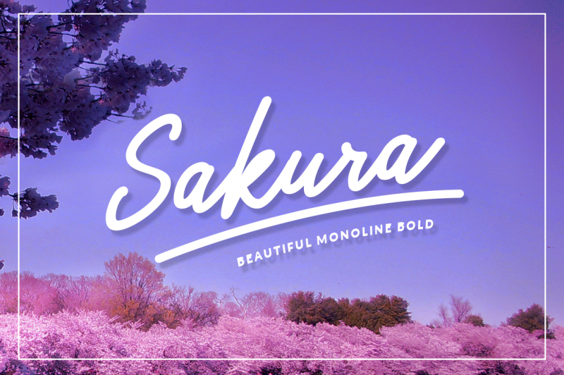 sakura-bold-font-set