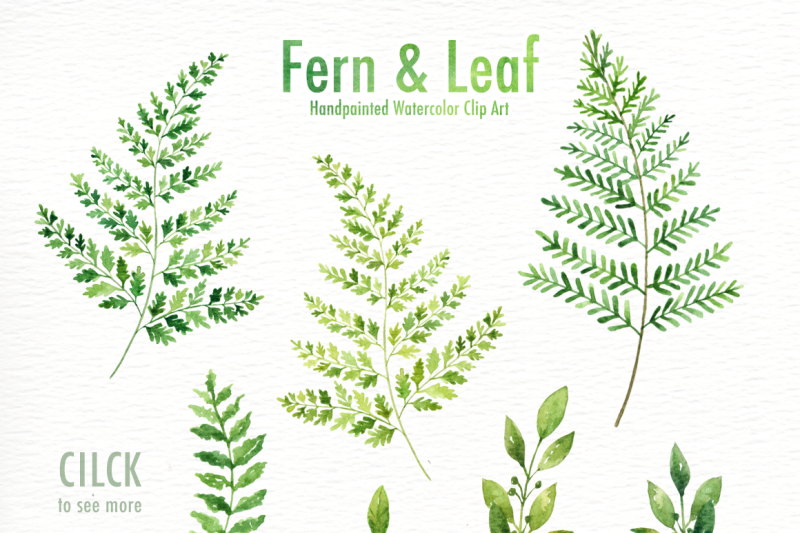 fern-amp-leaf-watercolor-clipart
