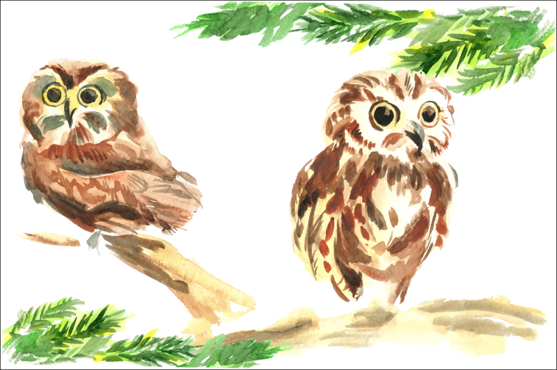 owl-set