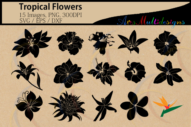 tropical-flowers-svg-vector