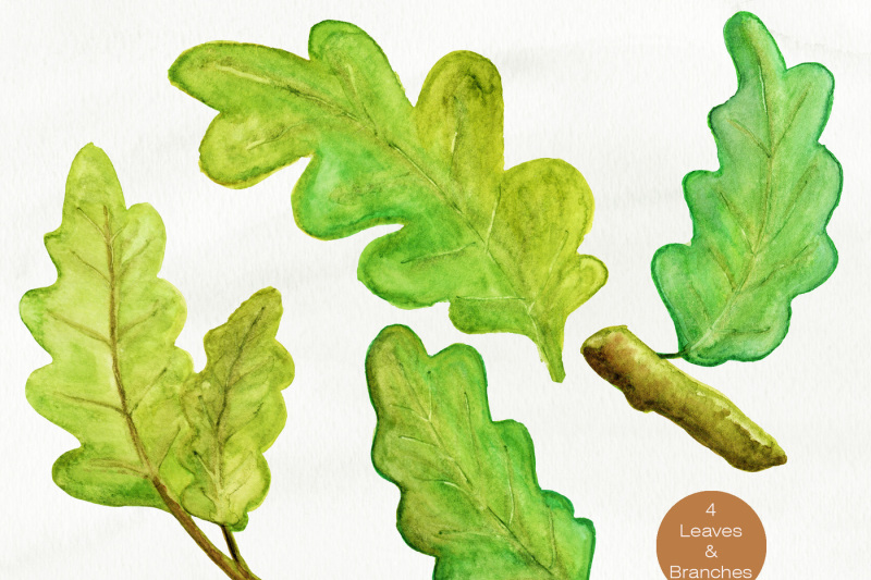 autumn-watercolor-acorns-oak-leaves-and-berries