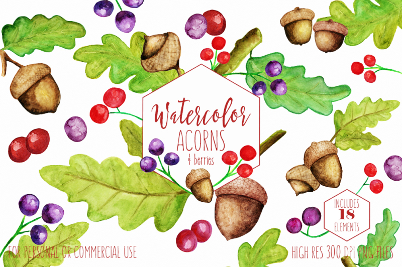 autumn-watercolor-acorns-oak-leaves-and-berries