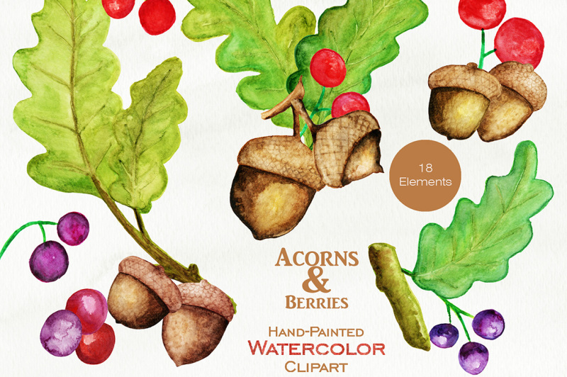 autumn-watercolor-acorns-oak-leaves-and-berries