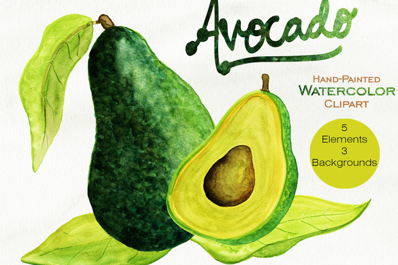 watercolor-avocado-graphic-set