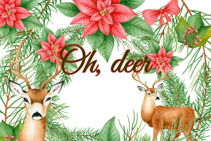 christmas-deer