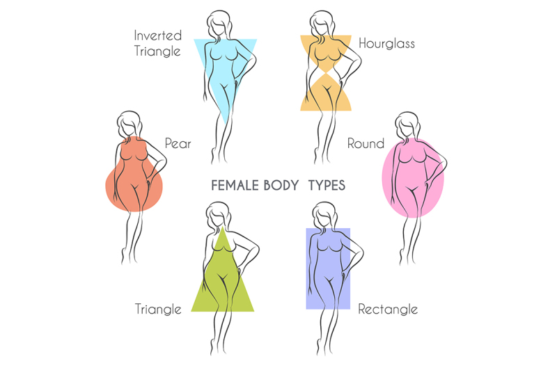 female-body-types