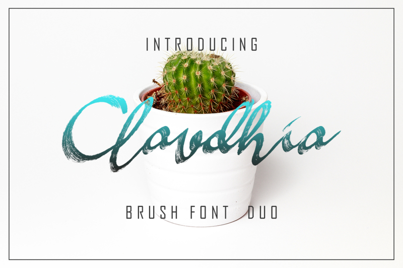 claudhia-bold-brush-font