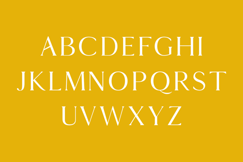 thomas-mag-serif-9-fonts-family-pack