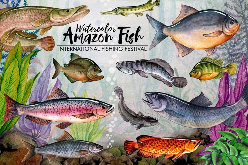 amazon-fishing