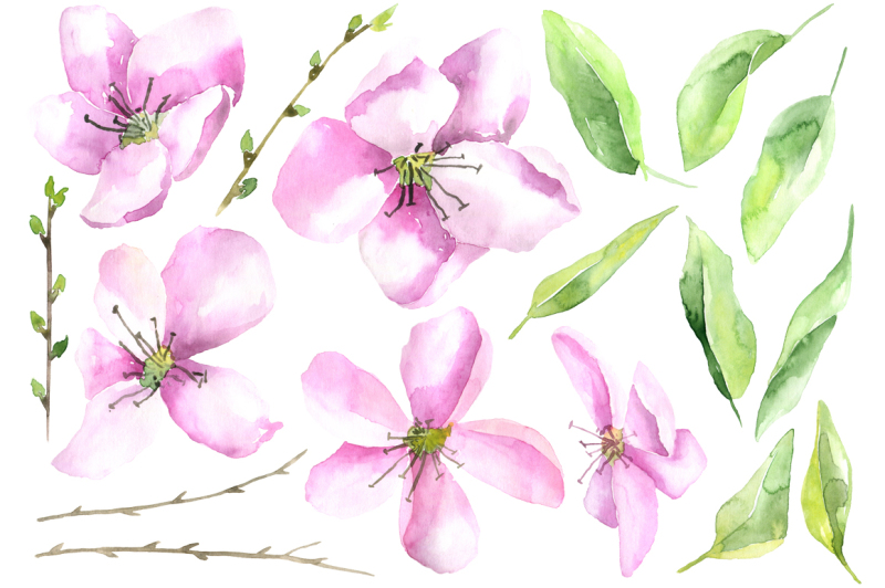 watercolor-pink-flowers-and-leaves-17-png