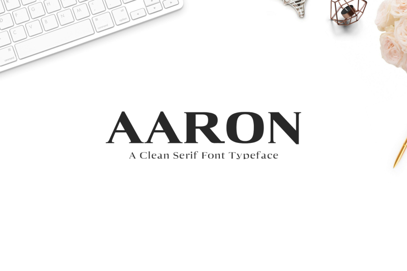 aaron-serif-font-family