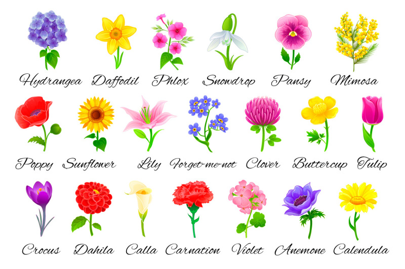 20-vector-flowers