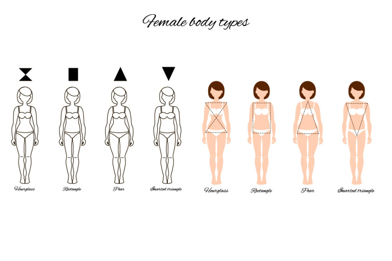 illustrations-of-body-and-face-types