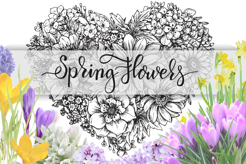 spring-flowers-hand-drawn-collection