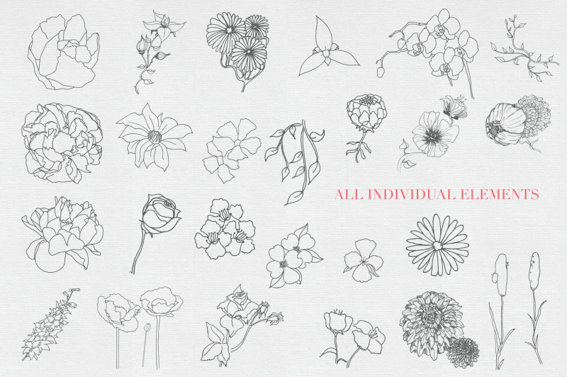 hand-drawn-sketched-floral-vectors