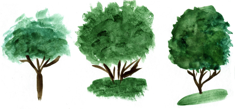 watercolor-trees-vector-jpg