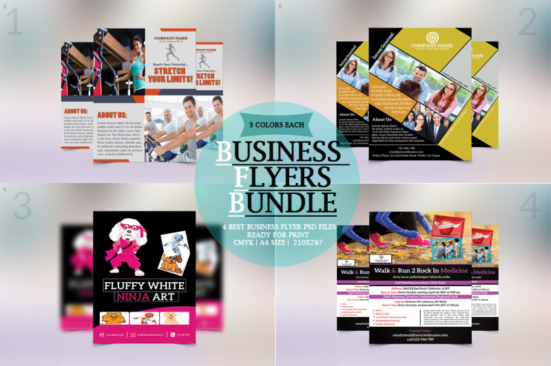 business-flyer-bundle