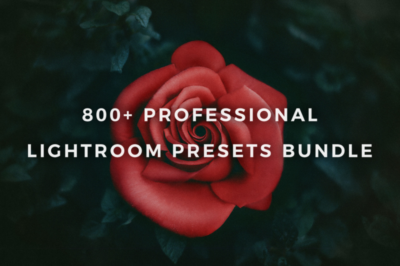800-professional-lightroom-presets-bundle