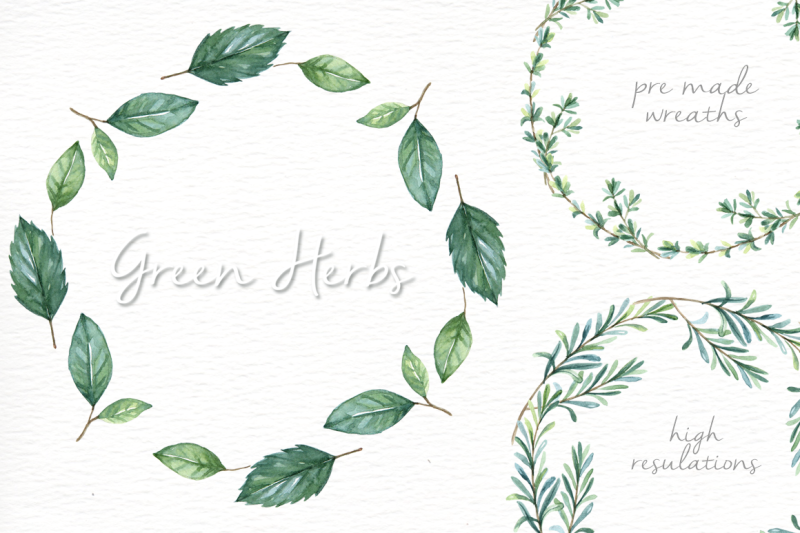 green-herbs-watercolor-clipart