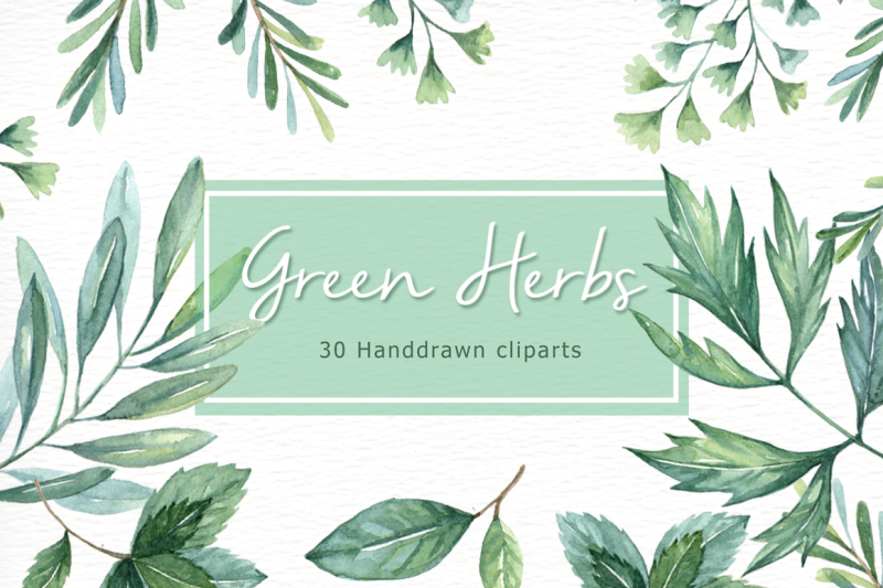 green-herbs-watercolor-clipart