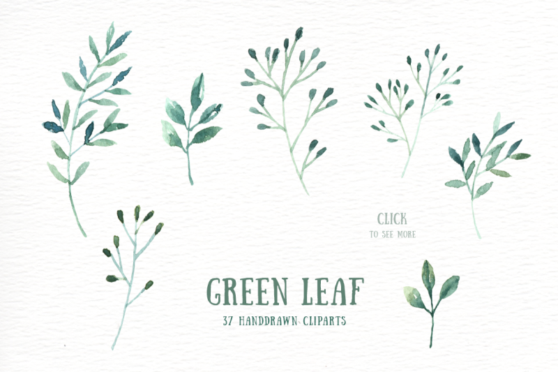 green-leaf-watercolor-clipart