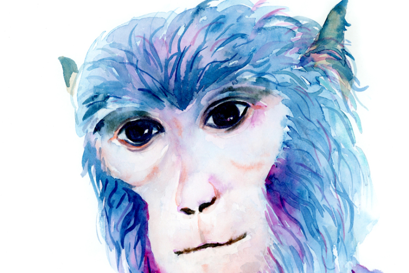 watercolor-monkey-portrait