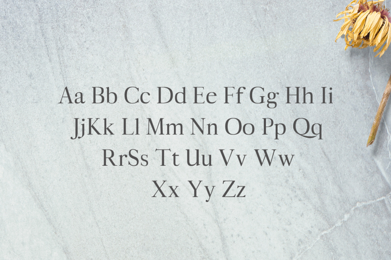 aludra-serif-12-font-family-pack