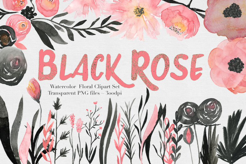black-and-pink-rose-watercolor-clipart