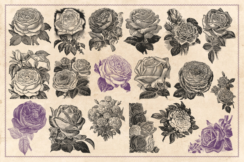 70-vintage-vector-roses