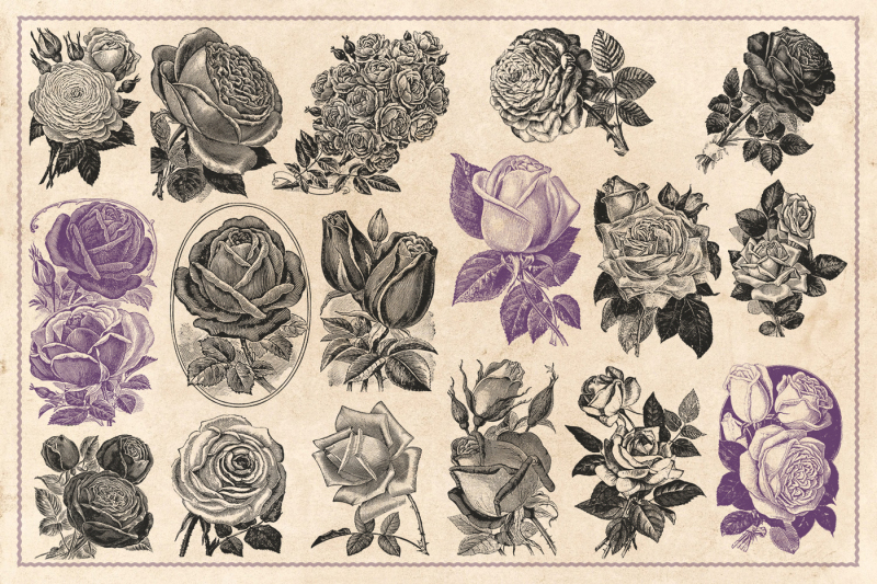 70-vintage-vector-roses