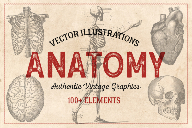 100-vintage-anatomy-illustrations