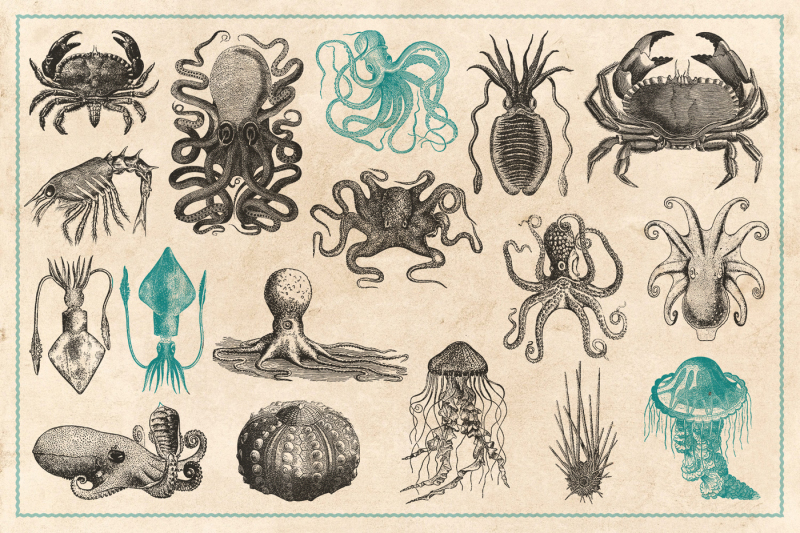 154-vintage-sea-illustrations