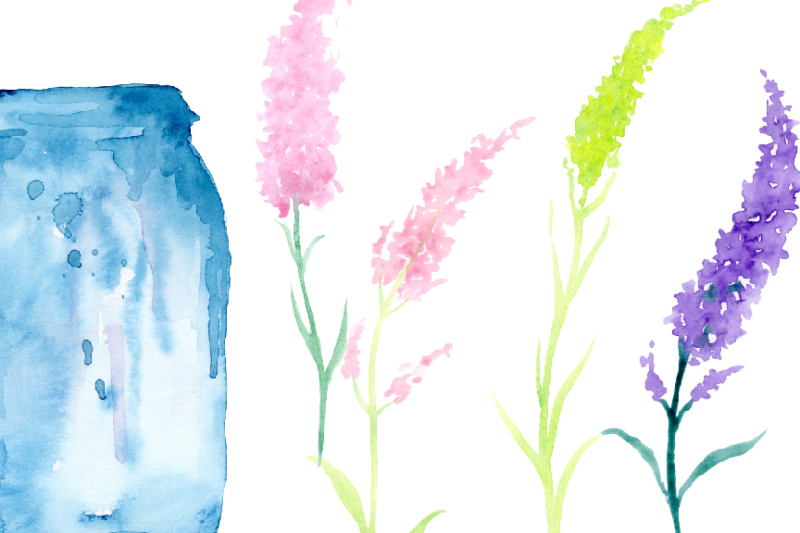 watercolor-clipart-the-scent-of-lavender