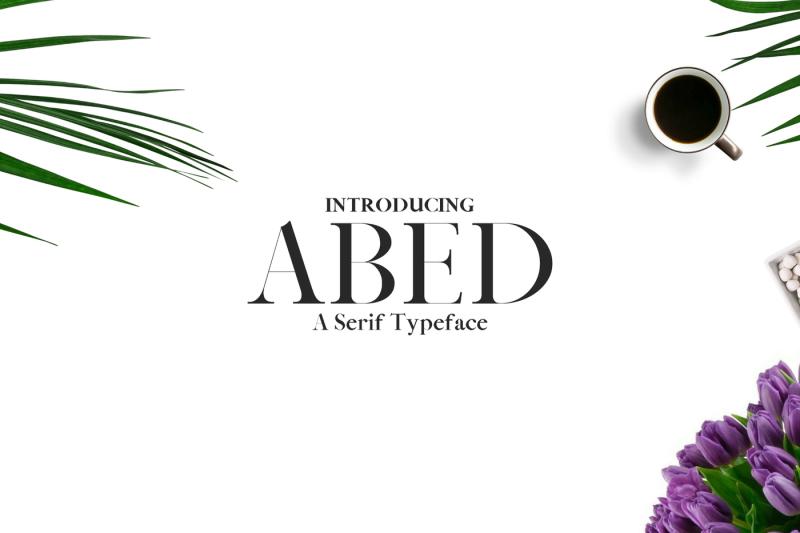 abed-serif-5-font-family-pack