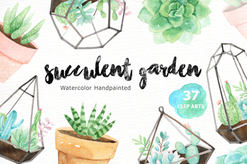 succulent-garden-watercolor-cliparts