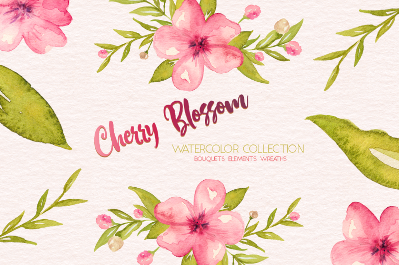 cherry-blossom-watercolor-collection