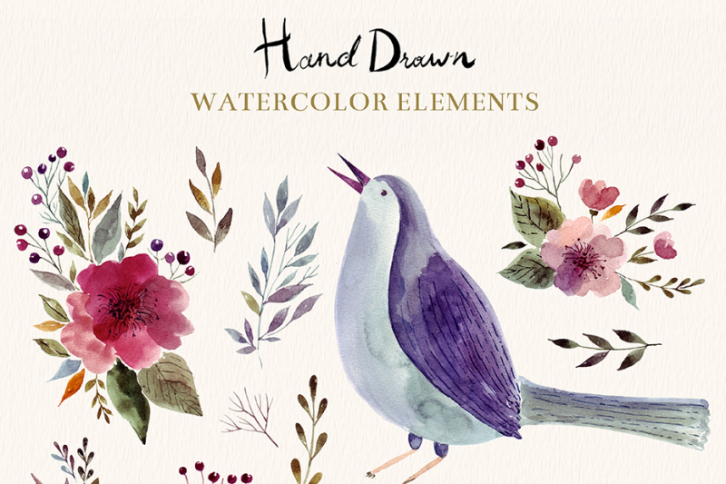 hand-drawn-watercolor-and-ornament-set
