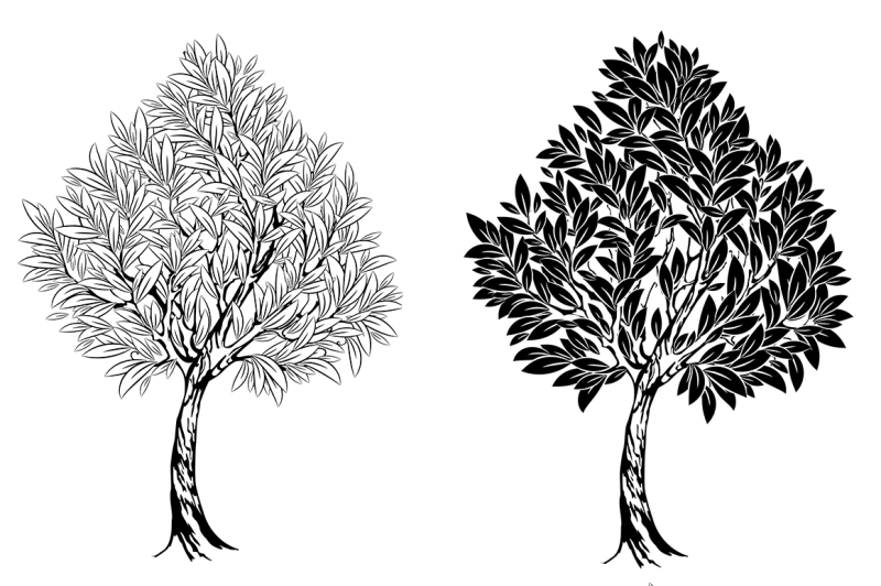 two-young-contour-trees