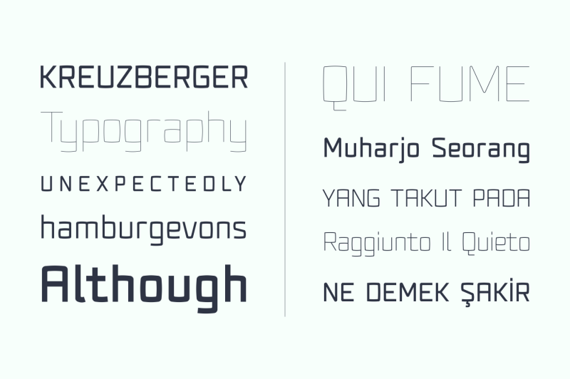 fenton-typeface-family-80-off