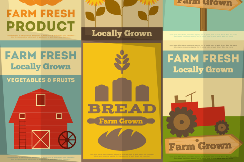 set-of-posters-for-organic-farm-food