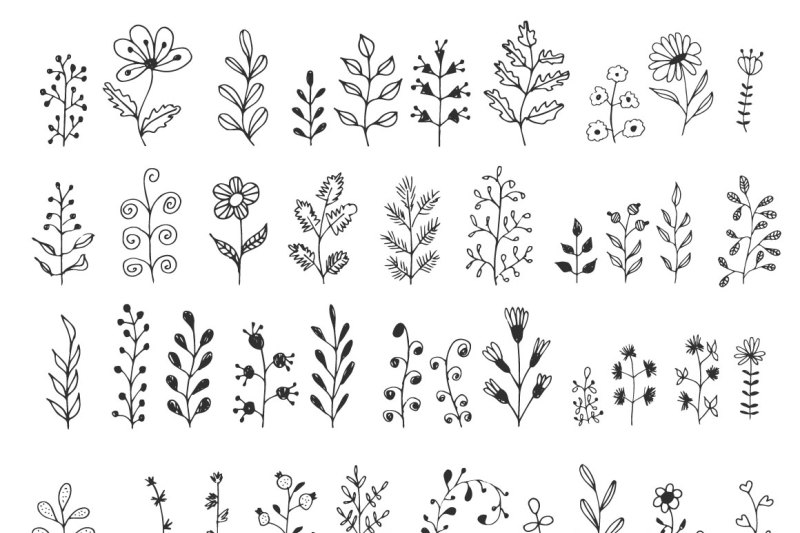 hand-drawn-herbs-and-branches