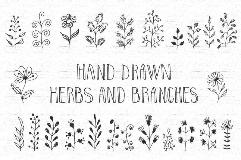 hand-drawn-herbs-and-branches