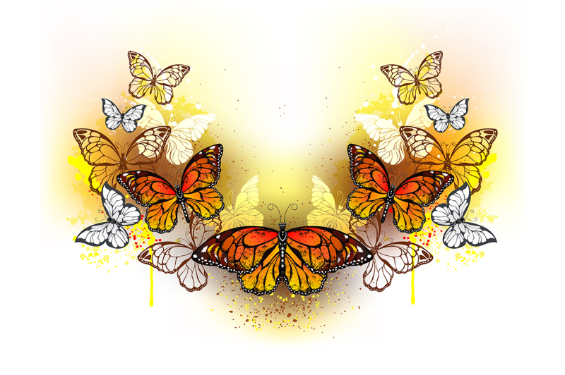 symmetrical-pattern-of-butterflies-monarchs
