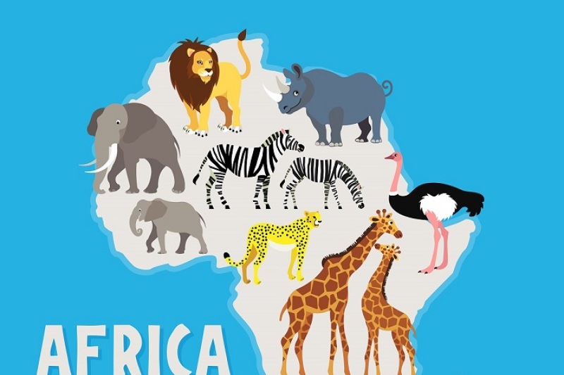 africa-safari-animal-set