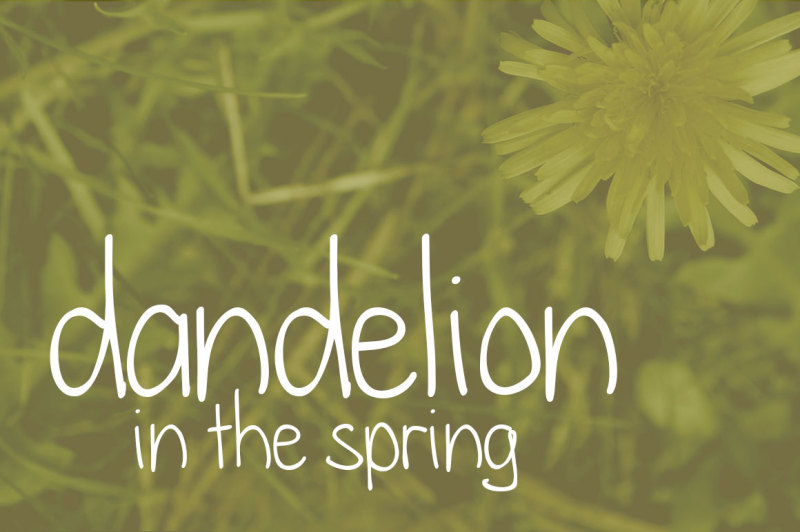 dandelion-in-the-spring-font