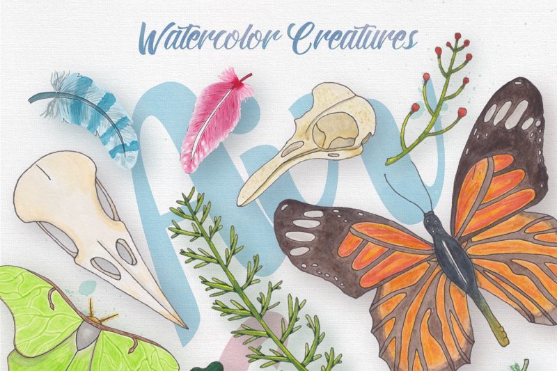 watercolor-creatures-vol-2
