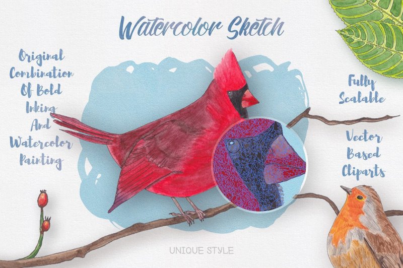 watercolor-creatures-vol-2