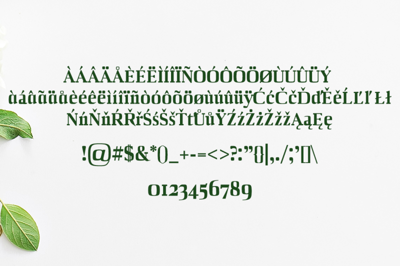 barnes-serif-7-font-family-pack