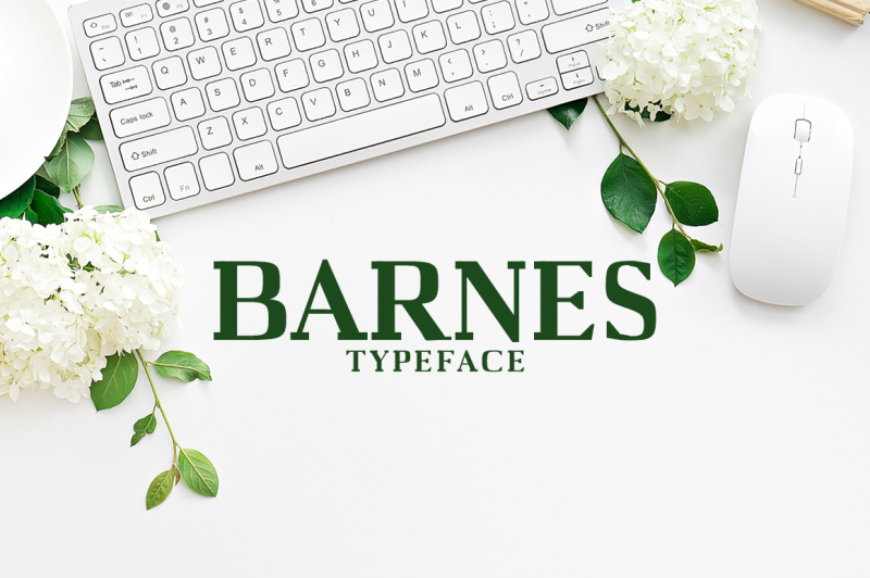 barnes-serif-7-font-family-pack